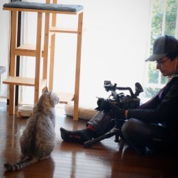 「新・旅猫ロマン」に出演